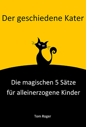 Buch Der geschiedene Kater